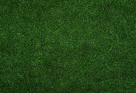 GAR LP Jan Lawncare