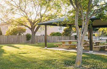 Trusted Landscaping Services in Hendersonville, NC