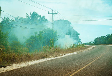 Smart Landscaping Can Help Slow Wildfires