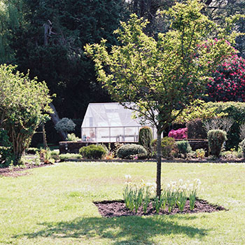 Finish Grading Services Asheville, NC