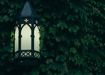 Landscape Lighting Services Hendersonville and Asheville