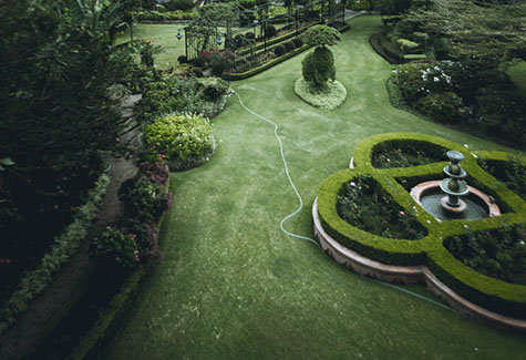 Landscaping_project