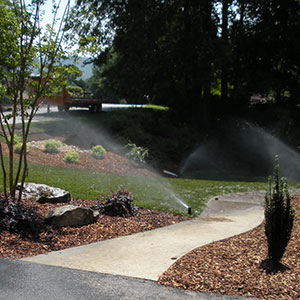 Landscape Installation Asheville, NC 300