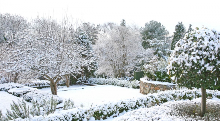 Four Winter Landscaping Ideas