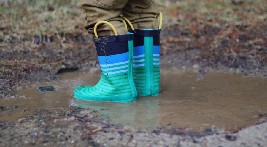 Why Do I Have Flooding Issues in My Yard