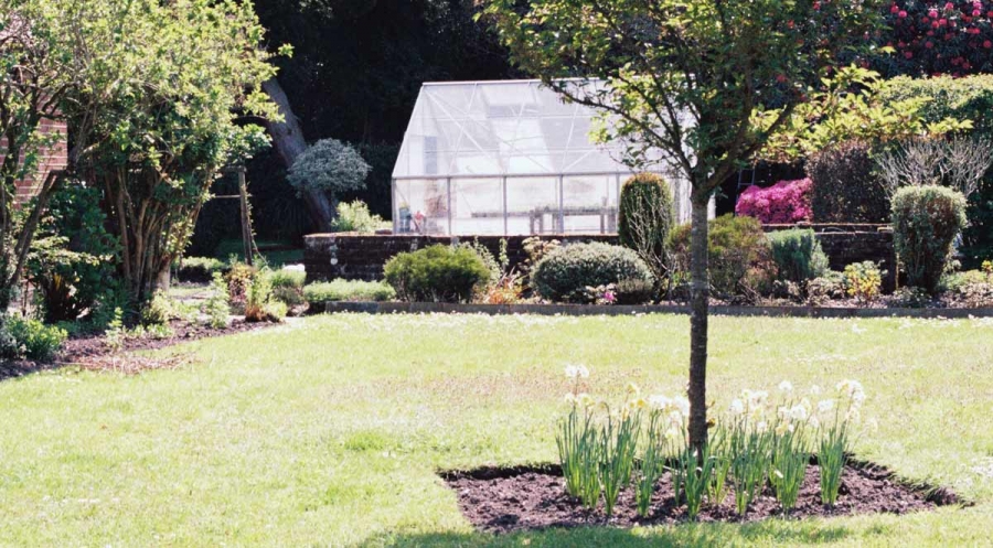 How To Enjoy Your Lawn and Yard During Summer