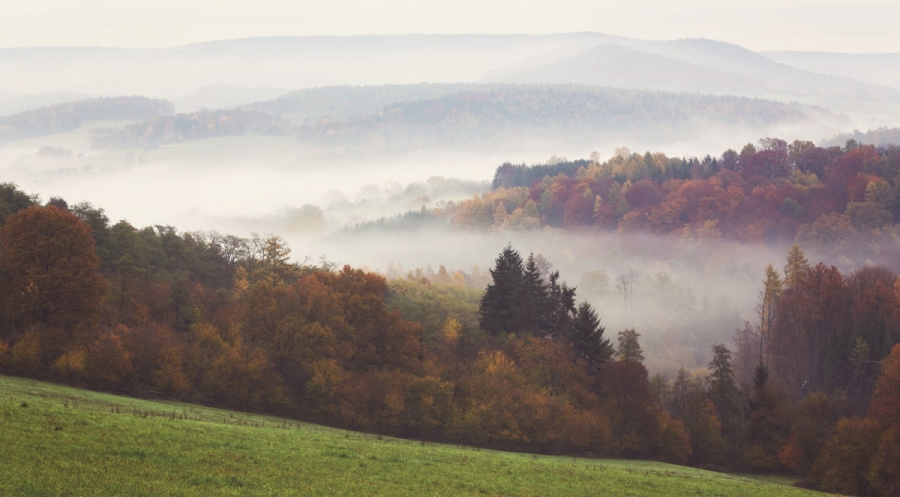 How to Get Ready to Clear Your Land